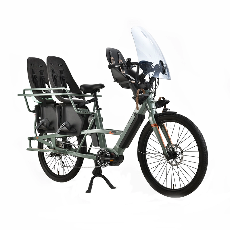 OEM CE aprobado 2 rueda cargo eBike con carros de venta Bicicleta de carga eléctrica para la venta