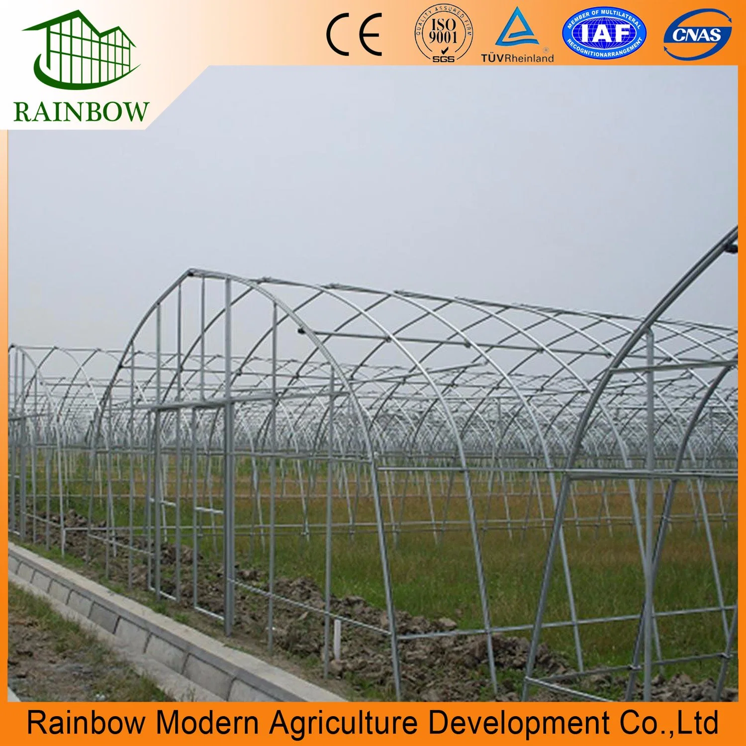 Commercial Single Span Plastic Film Tunnel Greenhouse