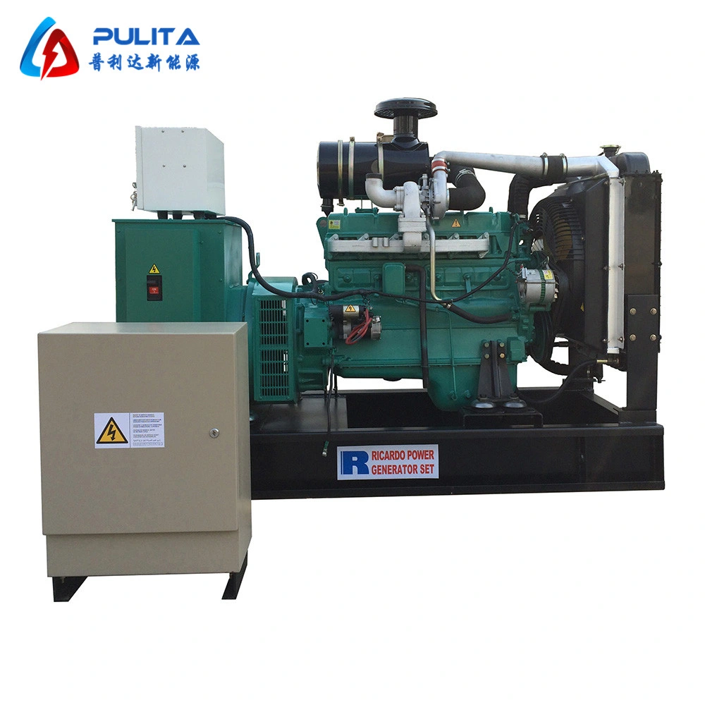 200kVA 1phase LPG Power Generator 160kw with Ce ISO