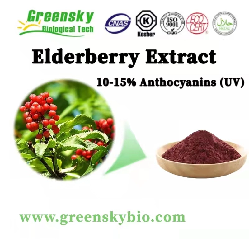 Extrato de elderberry 10-15% de antocianinas (UV) Sambucus Nigra L. Violet - pó vermelho extracto vegetal de alta qualidade extracto de ervas puro aditivos alimentares naturais