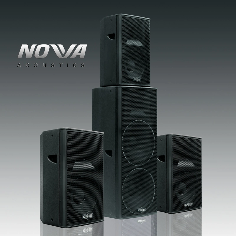 Altavoz profesional de audio bidireccional (CD-12)