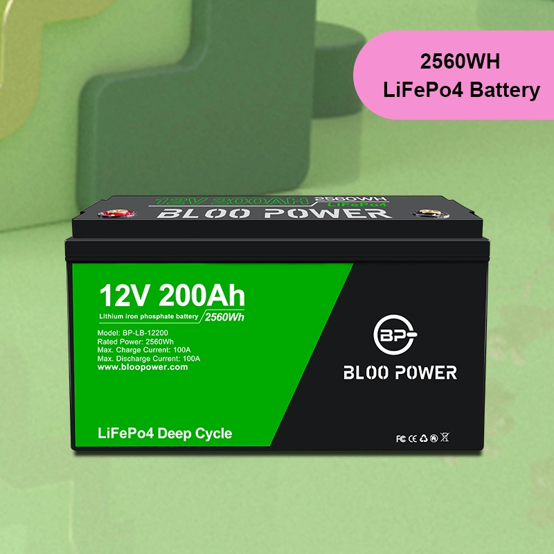 Bloopower 12 24 48 voltios Li-ion pilas de ion-litio Paquete para pantalla electrónica instrumento de medición Equipo médico litio Batería