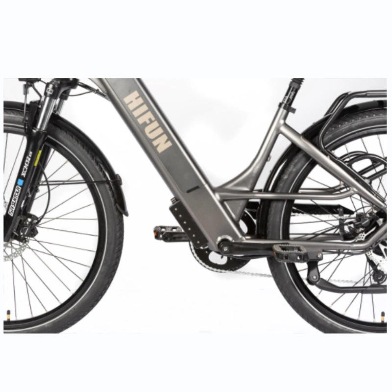 Lake 15 Comfort CE Strong Electric Bicycle