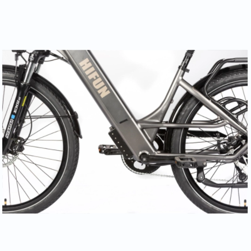 See 15 Comfort CE starkes Elektrofahrrad