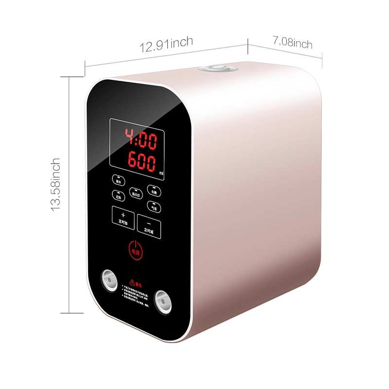 99.99% Purity Hydrogen Inhalation Machine with Different Flow Such as 150ml, 300ml, 900ml, 3000ml