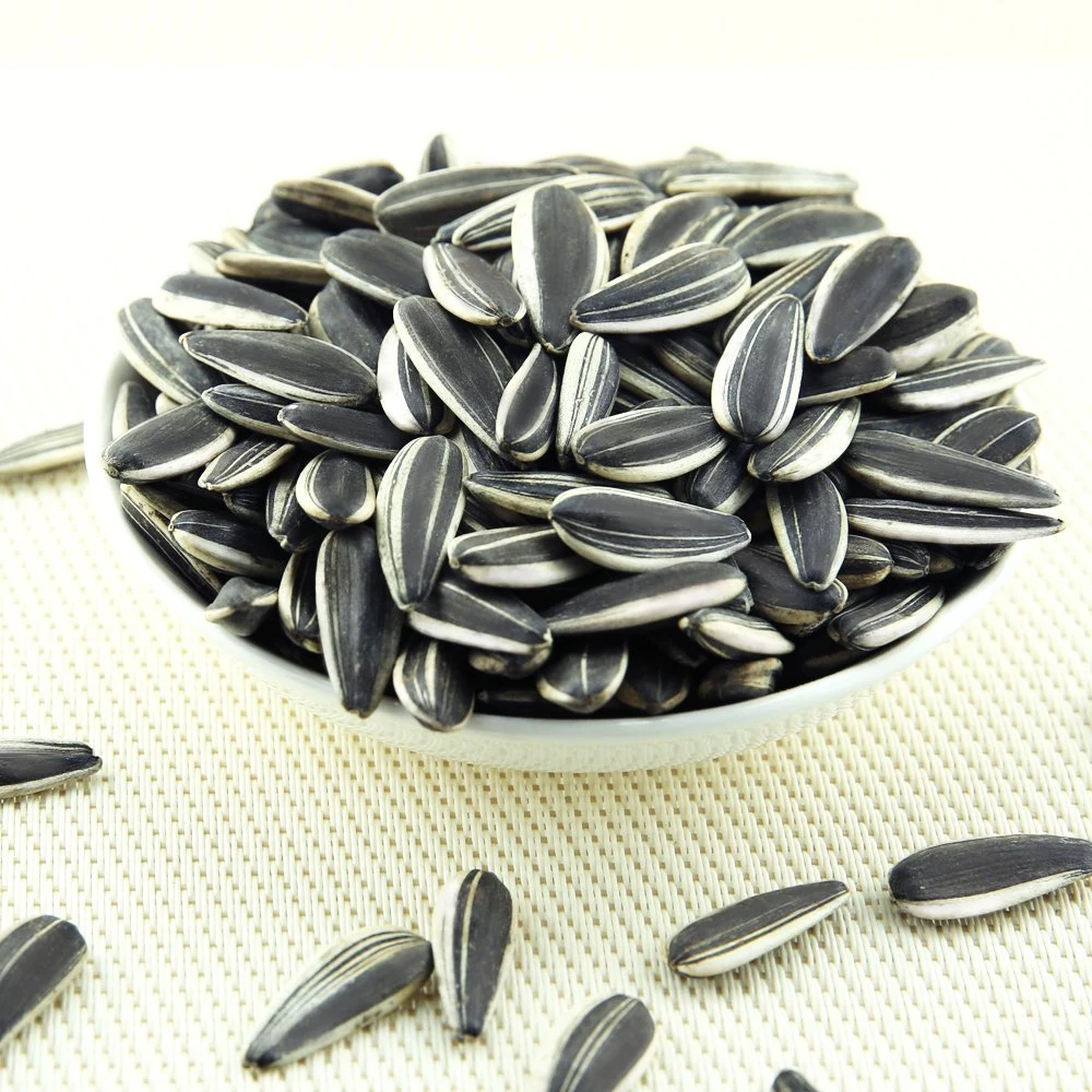 Chinese Black White Raw Quick Delivery of Sunflower Seeds Big