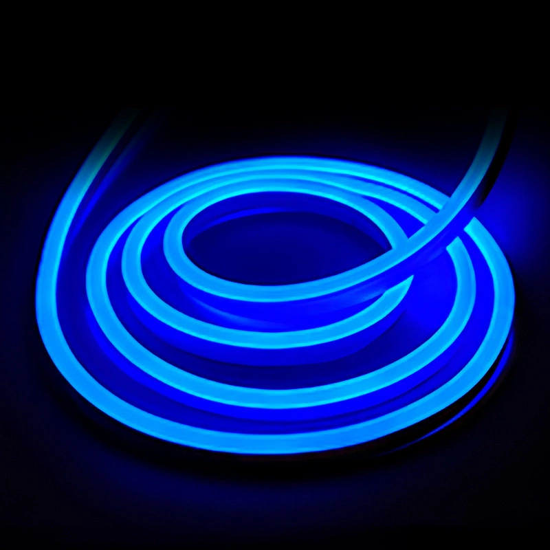 LED Neon Lights, 12V Warm White Dimmable LED Strip Lights for Home Decor