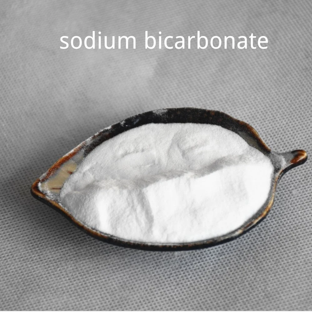 99% Min White Powder CAS 144-55-8 Sodium Bicarbonate for Industry & Food