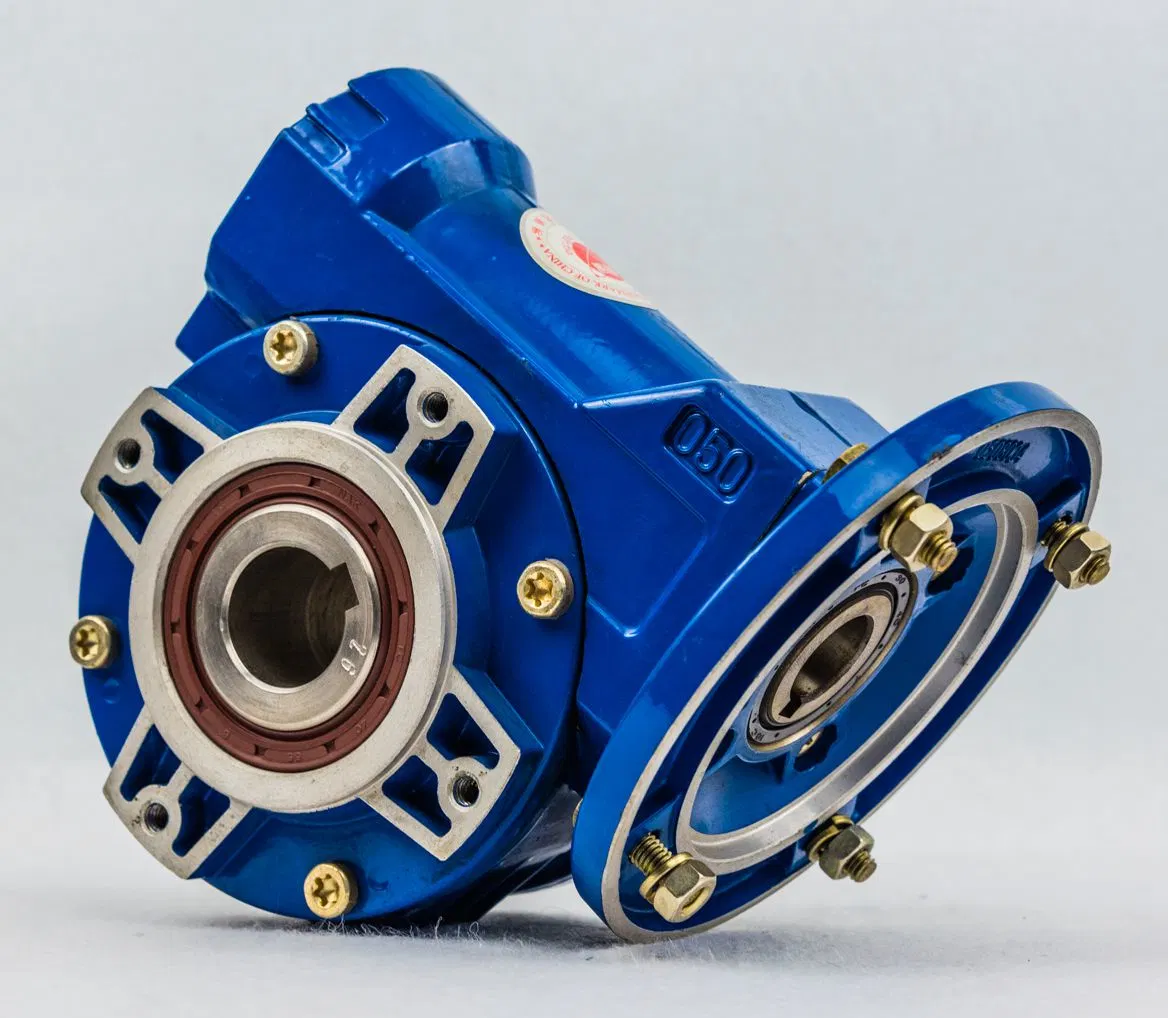 Worm Gearbox Worm Reducer with Output Flange