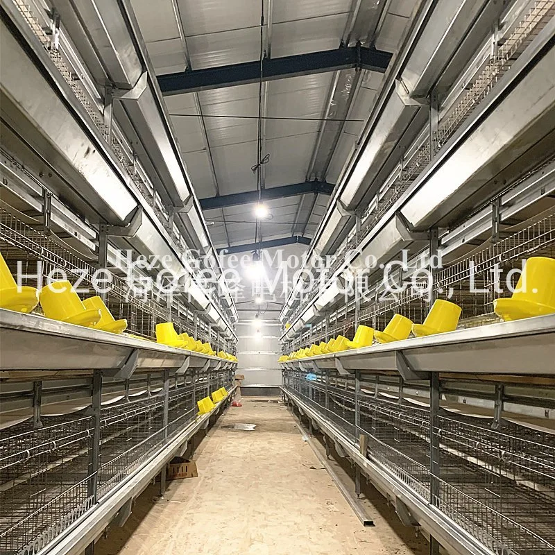 H Type Chicken Broiler Farming Equipmet Cage 4 Tiers Hot Galvanized House Quail Automatic Layer