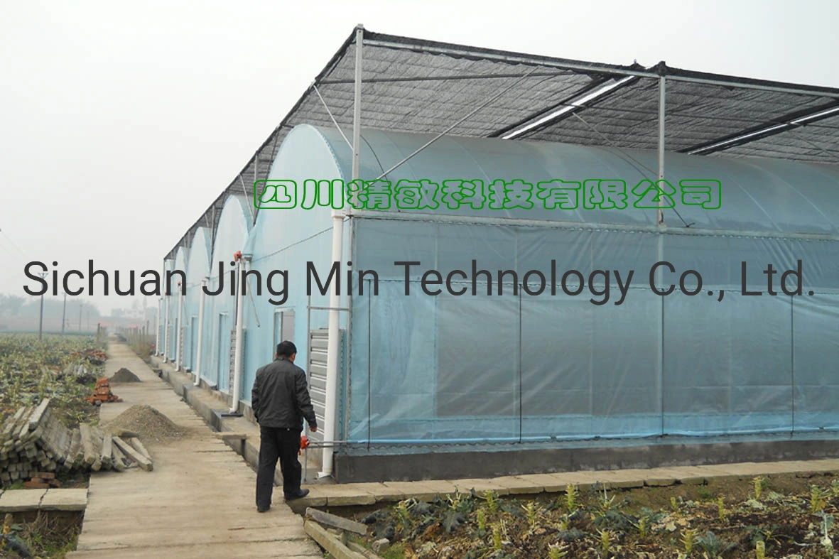 The Tunnel PE Film Green House with Factory Price