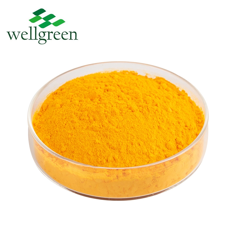 Wellgreen Coenzyme solúvel em água Q10 Ubidecarenone 40% Coenzyme Q10 em pó