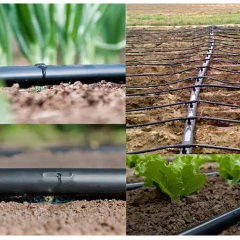 Limited Time Promotion Greenhouse Inverted Sprinkler Sprinkler Drip Irrigation System Automatic Sprinkling Farming Agricultural