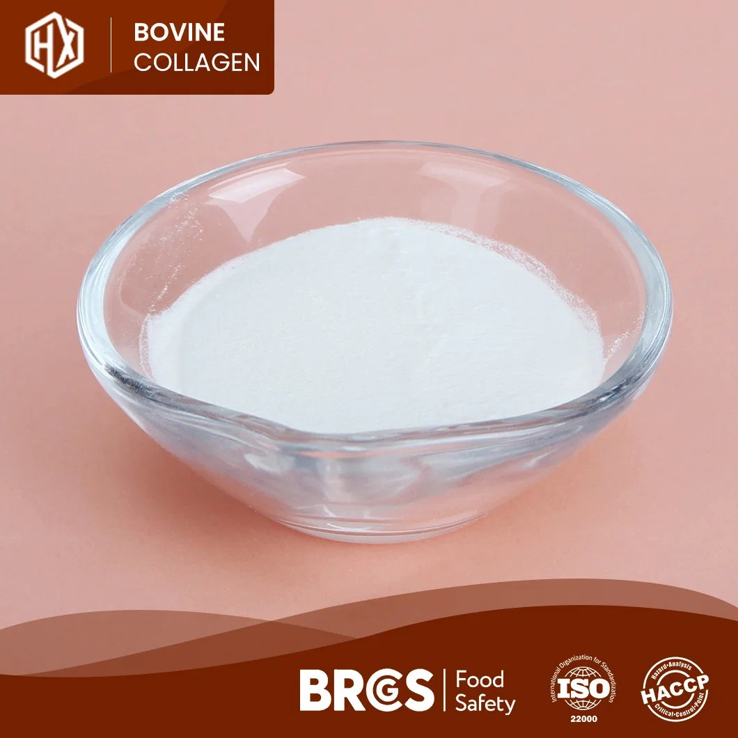 Haoxiang Nouveau peptide de collagène bovin Icecrame gélatine poudre haute Qualité Chine Fabricant prêt à expédier Pure bovin cache le collagène 1 et 3 poudre