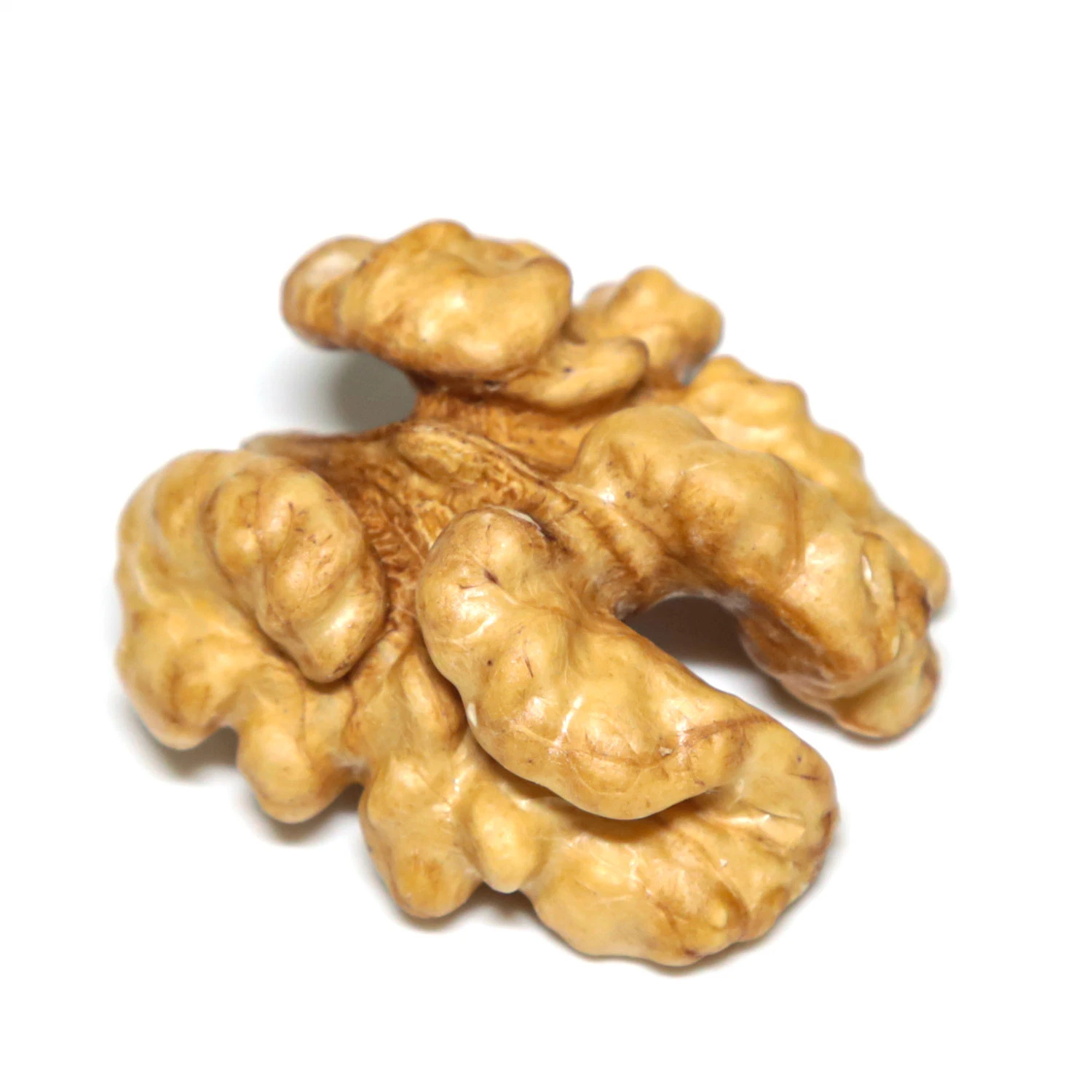 Walnut Kernels, Walnut Without Shell with High Protein18mm-24mm