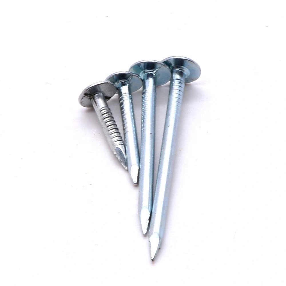 Building Nail Iron Nail Common Iron Nail