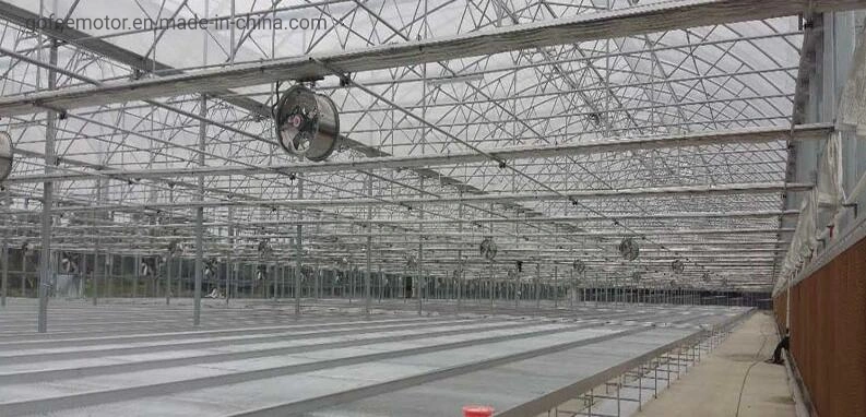 Poultry Hanging Ventilation Exhaust Fan Dairy Farm Cooling Equipment