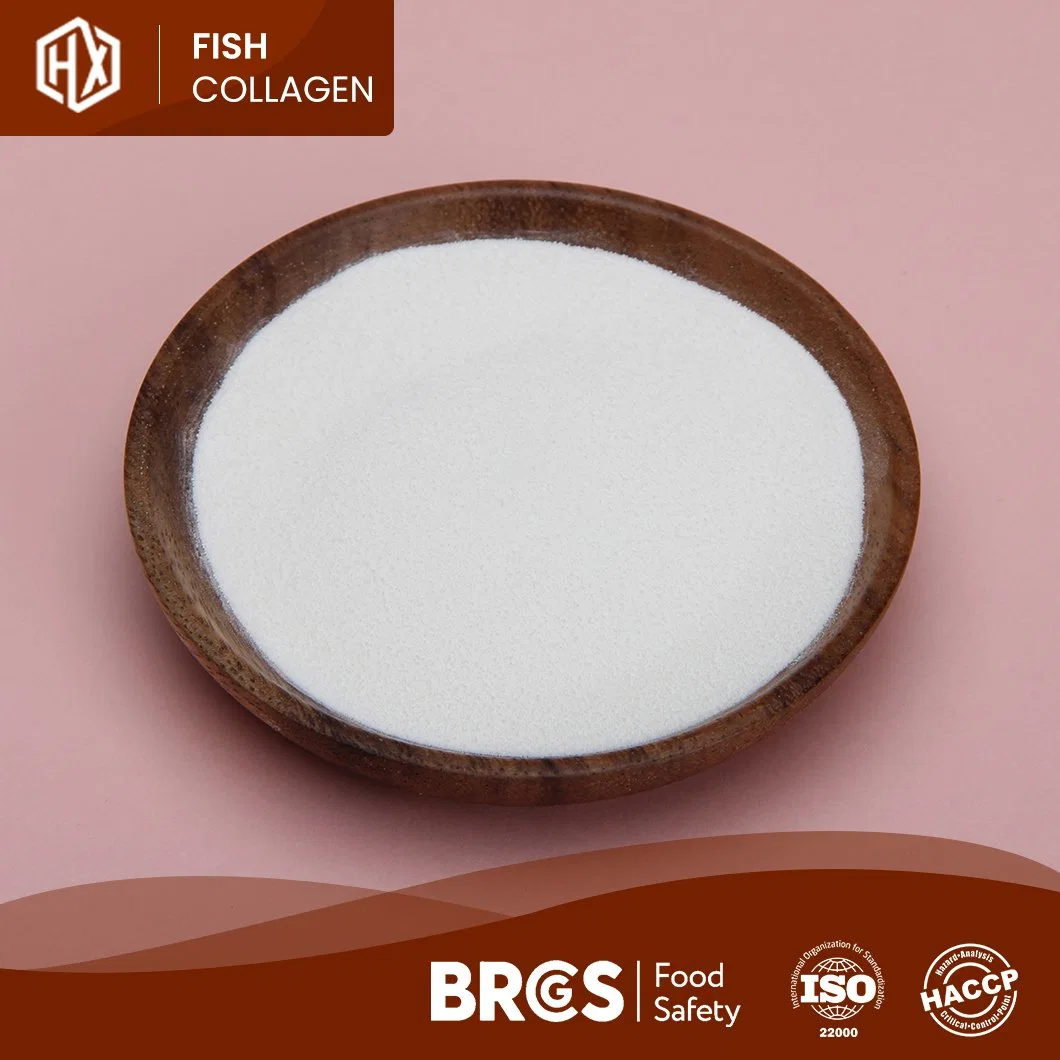 Haoxiang OEM Custom Tilapia Scales Collagen Peptides Drink Skin Whitening Hydrolyzed Marine Collagen Oral Liquid White or Pale Yellow Premium Protein Powder