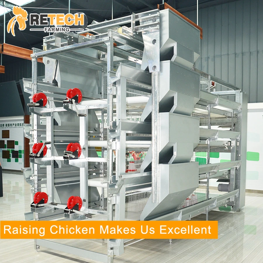 Automatic Chicken Farm Equipment for Layer/Broiler/Pullet