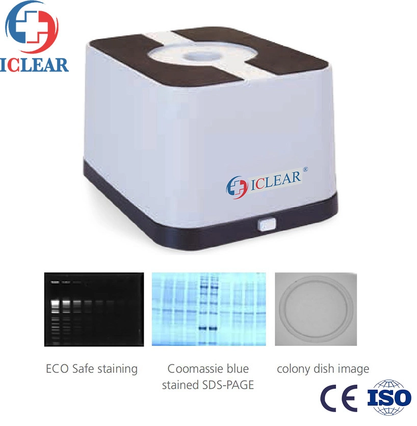 Economical 10 X 10cm 470nm Epi Blue Light Gel Imaging System