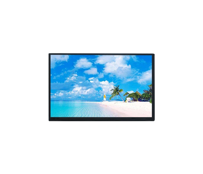 Interface LVDS 40 broches d'écran LCD TFT HD 10.1 pouces 1280 X 800 Écran tactile en option