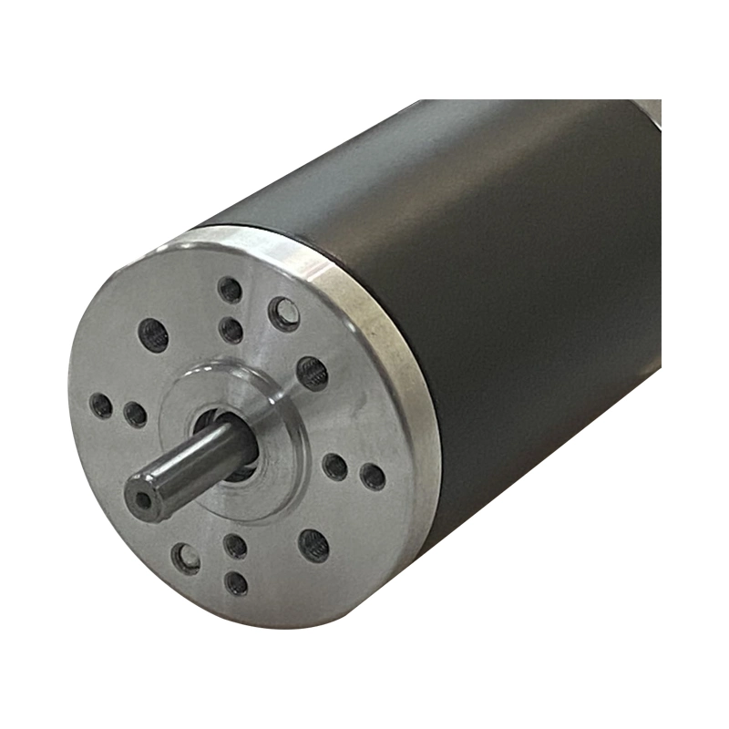 63mm Elektrofahrzeug DC Motor 12V 24V für Roller und Mobilität, Engineering Logistic und FTS Carts Elektromotor