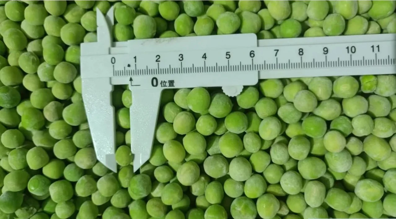 Frozen Green Peas, Fresh Frozen Vegetables From China