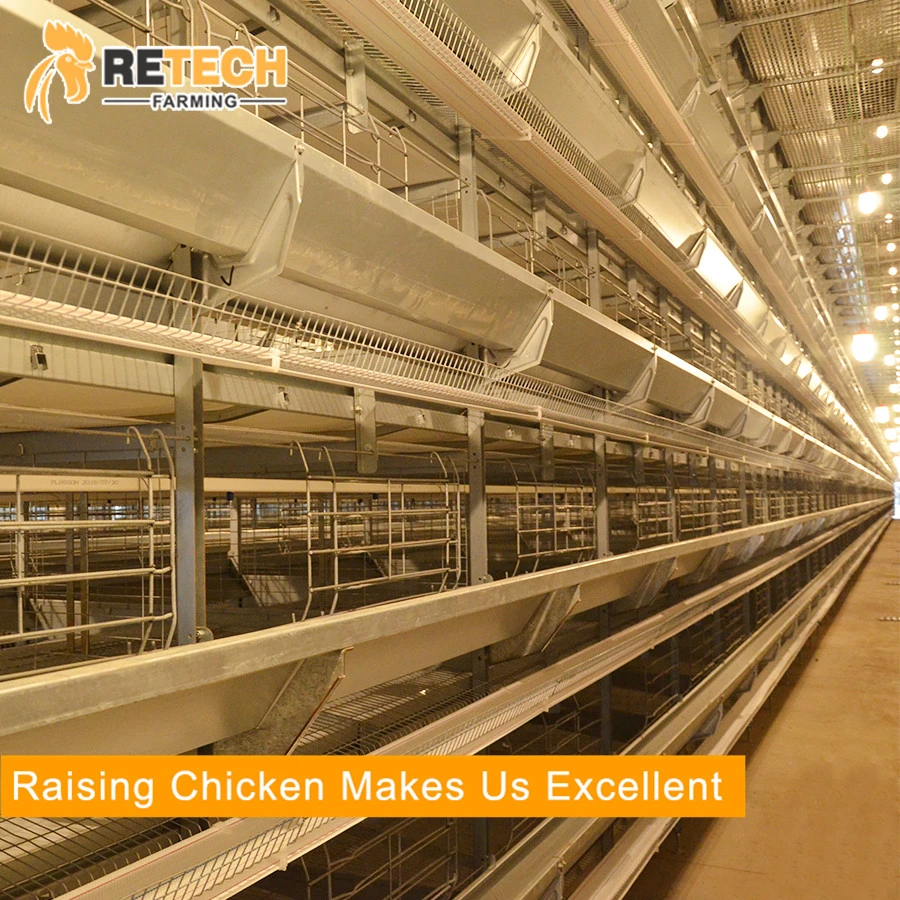 Good Price Automatic Poultry Farm Equipment Layer Laying Hens Chicken Battery Cage for Sale