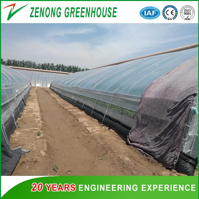 Prefabricated Low Cost Plastic Film Covered Sunlight Greenhouse for Tomato/Cucumber/Egg Plant