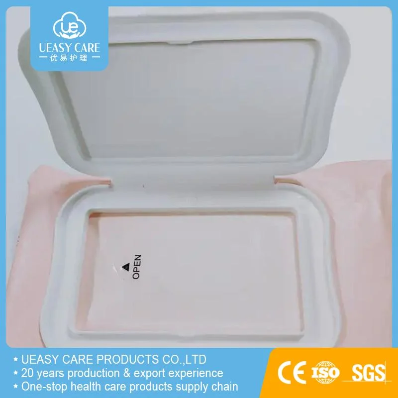 Small Package Disposable Wet Wipe Pure Water for Travel Restaurant Hotel Custom Logo Nonwoven Wipe Tissue