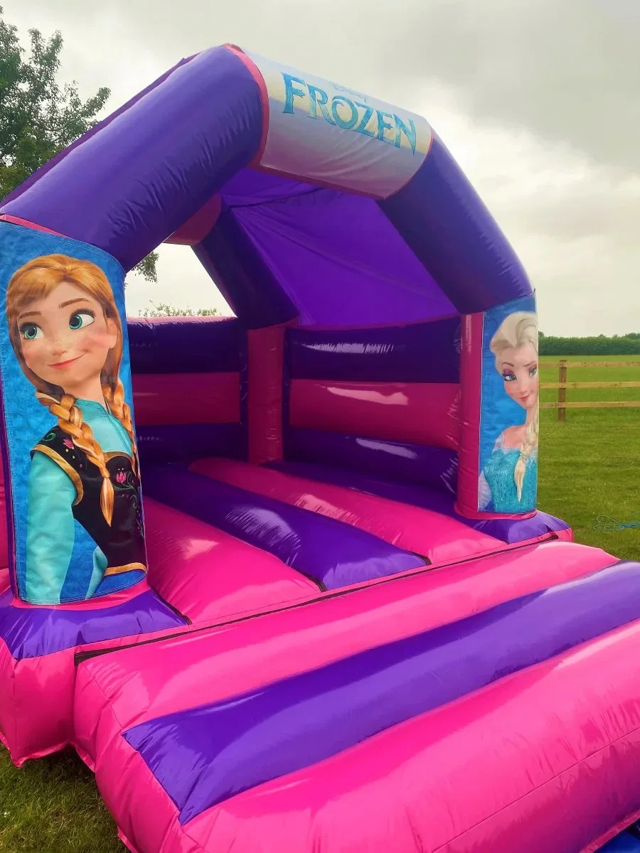 Inflatable Frozen Bouncy Castle Kids Jumping Bounce House for Sale Outdoor Popular Kids Inflatable Scar Printing Bounce Castle Bouncy Jumping Bouncer