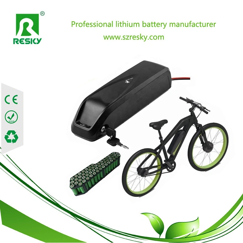 Downtube 48V 11.6ah Li-ion Battery for Beach Cruiser Ebike