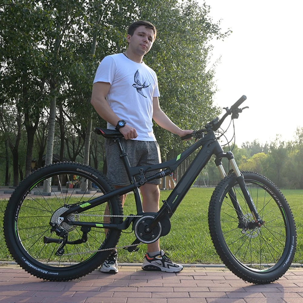 Ficha preta de marcação EN15194 bicicleta eléctrica chinês 36V 48 Volt Dobrável e bicicletas de montanha