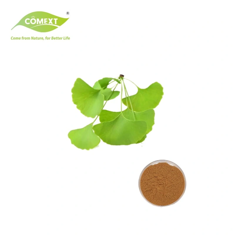 Comext extracto herbal antienvejecimiento orgánico Extracto de ginkgo Extracto de Ginkgo Biloba