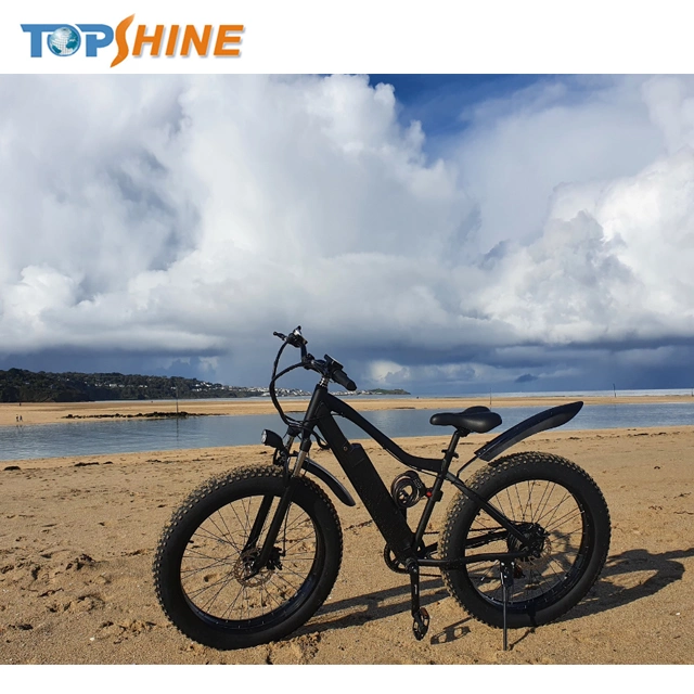 26pulgadas de tierra grasa E-Bike Beach Cruiser bicicleta eléctrica con el GPS del equipo de música