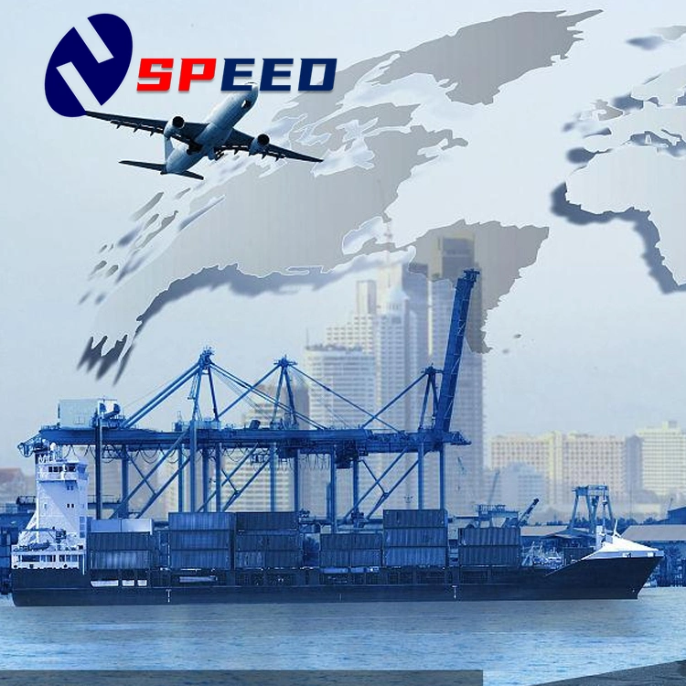 Fast and Reliable Air/Sea Freight Forwarder Shipping Agent From China to USA