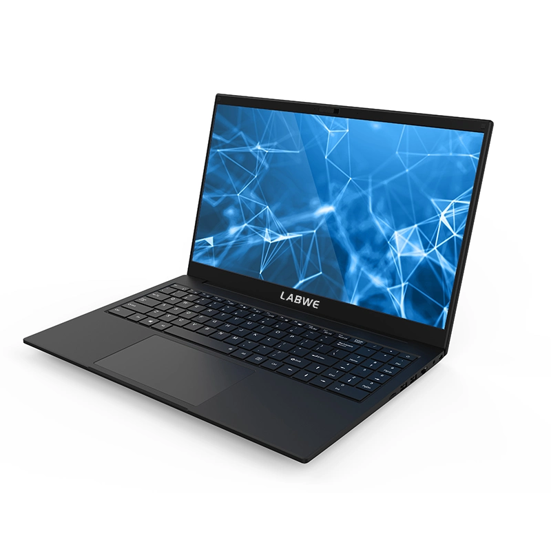 O OEM 14,1 polegadas com processador Intel Celeron 4100 1920*1080 8 LCD GB+128GB Quad Core Mini-computador portátil