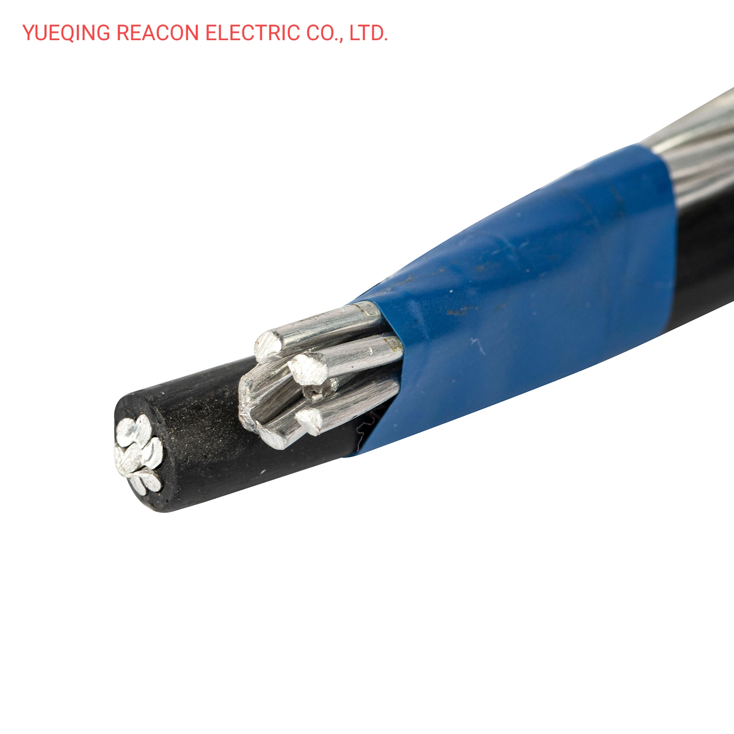 Aluminum Conductor Steel Reinforced (ACSR)