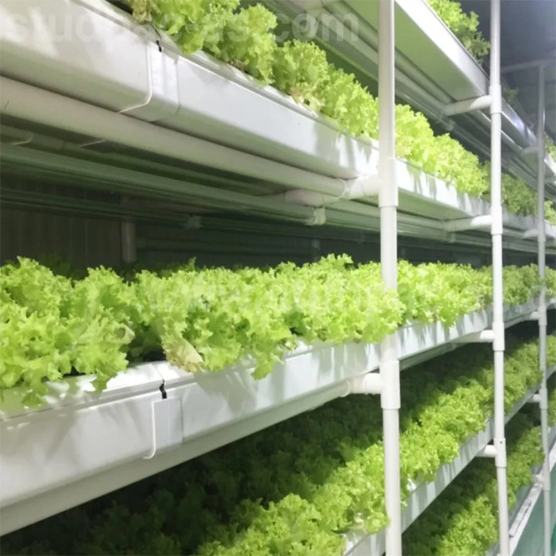 Vertical Farming Factory Hydroponic 40 Foot Container Plant Factory