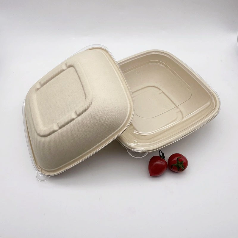 Environment-Friendly Sugarcane Pulp Single Lattice Square Packing Box