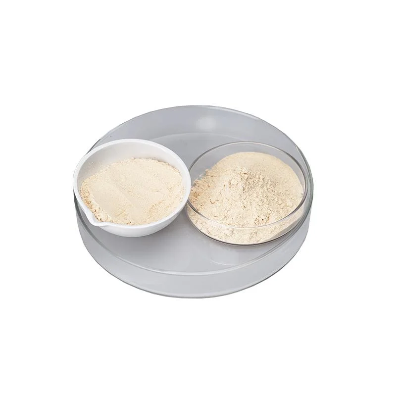 Chickpea Vegetable Protein Extract Powder