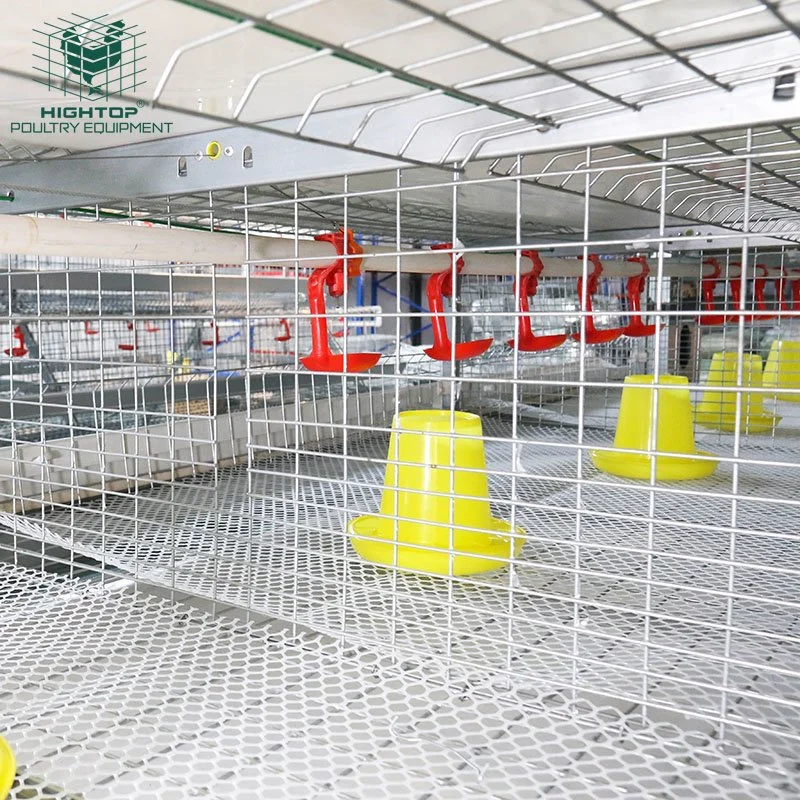 Hightop mejor calidad Buen Precio granja avícola automático de la jaula de Pollos Parrilleros en venta en Filipinas