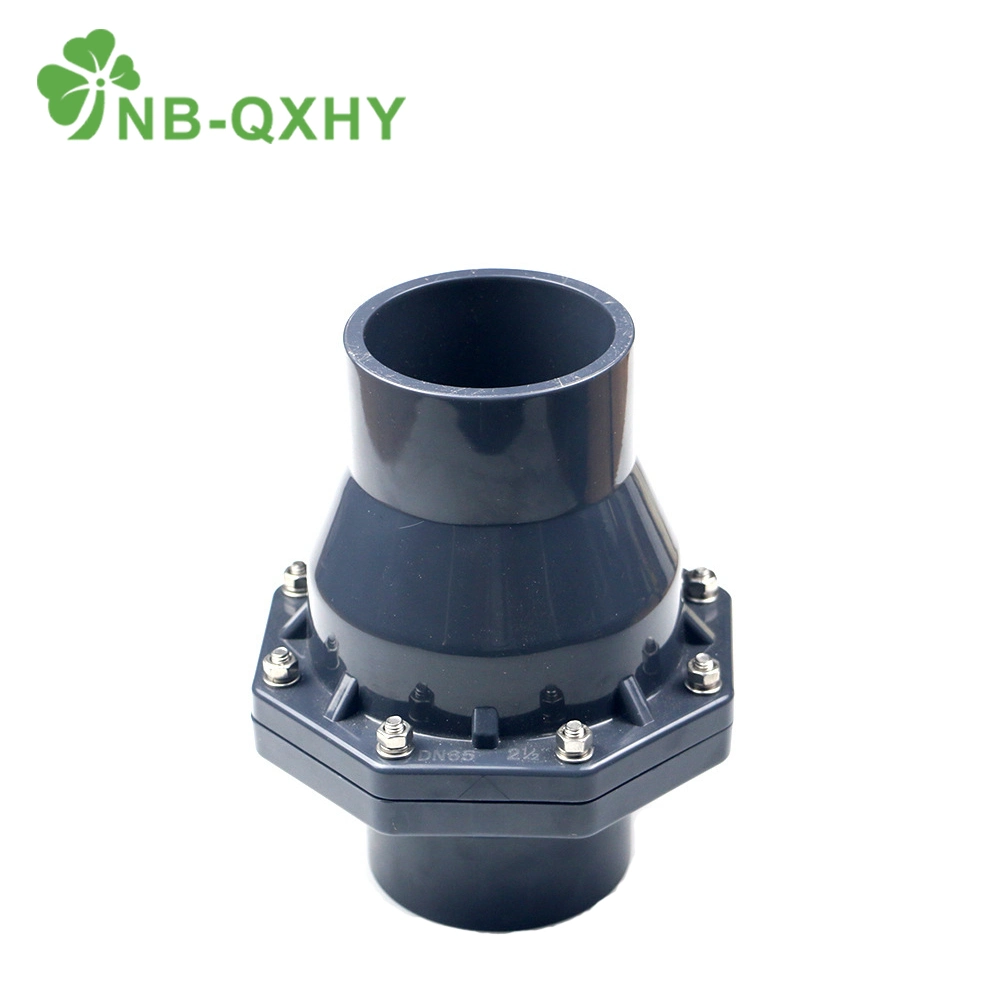 PVC DIN Standard Chemical Industrial Series Pn16 DN15-200 Water Supply Non Return Check Valve