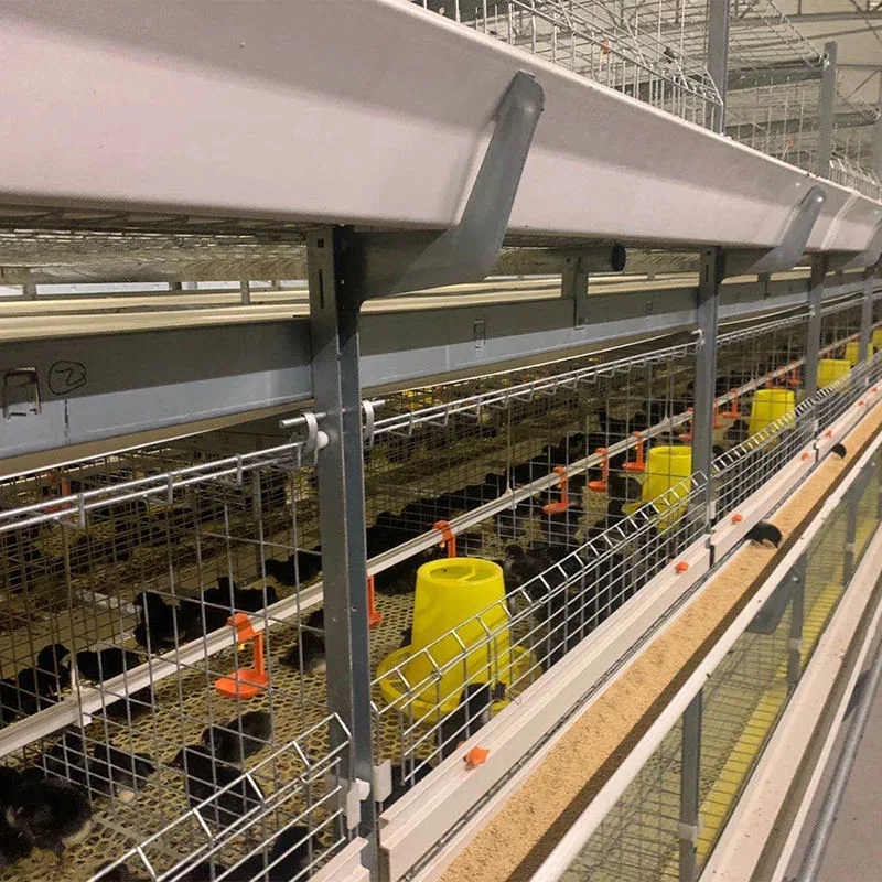 Diseño moderno almacenamiento cobertizo automático Chicken House Broilers sistema de jaula Granja de aves de corral