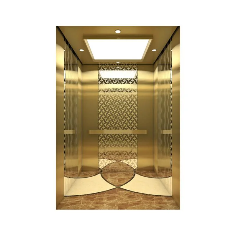 Shandong Elevator FUJI Lift Traction Machine Passenger Luxury Lifts