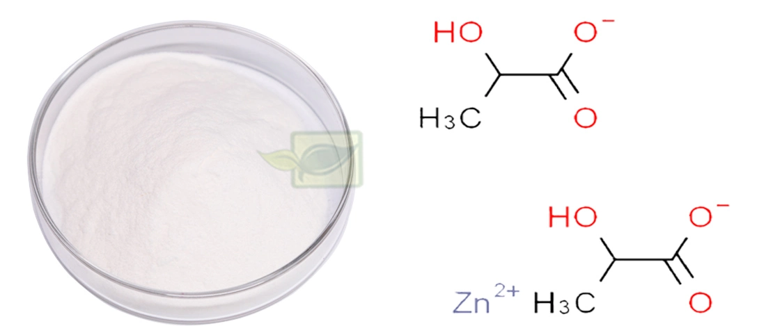 Factory Supply Best Price Food Additive CAS16039-53-5 of 99% Zinc Lactate Powder