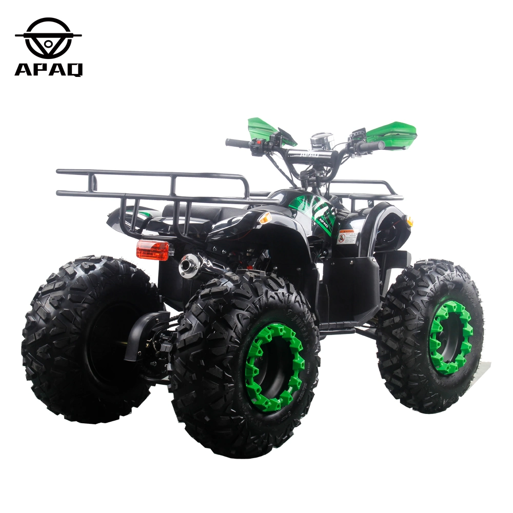 Apq125-5 with CE 125cc Powerful Gasoline ATV Electric Start Quads