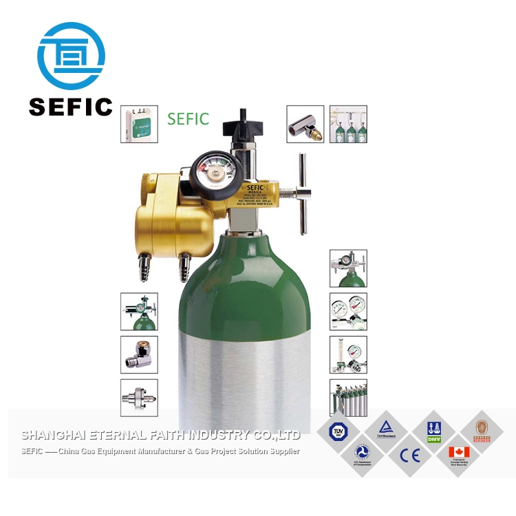 Acero inoxidable Sefic gas envasado en cartón CE/Tped/punto Regulador del cilindro de CO2