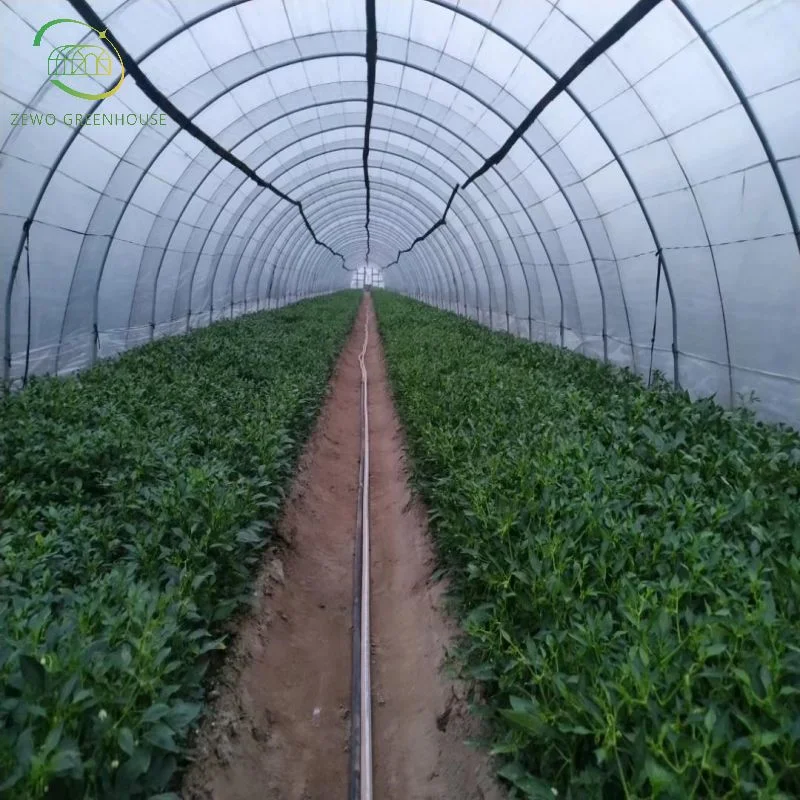 Hot Sale High-Quality Single Span Commercial Tunnel Plastic Film Greenhouse for Sale