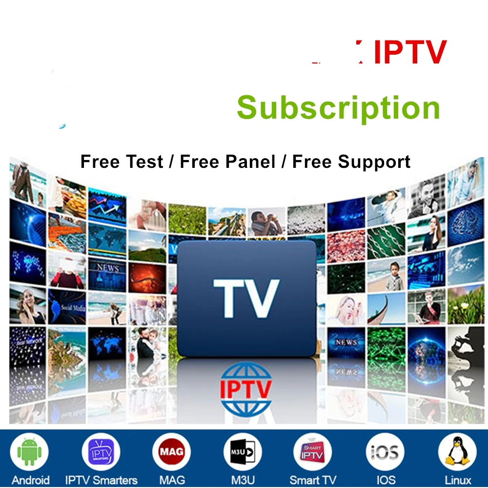 Professional IPTV Subscription World Server Reseller Panel mit M3U Kanälen Frankreich Großbritannien Spanien Deutschland Italien Schweden Android Set Top TV Feld